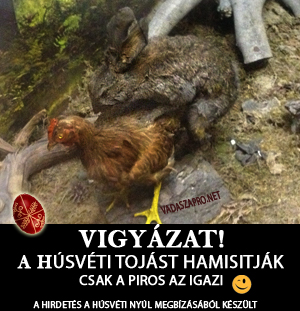 h�sv�ti h�mes toj�s